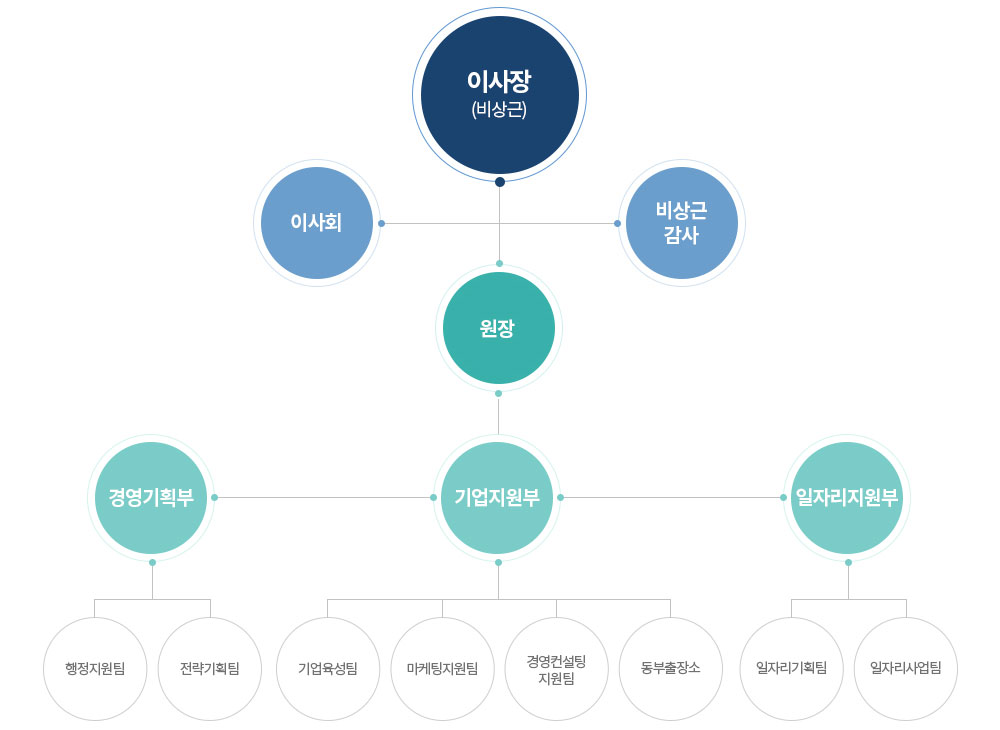 조직도 - 이사장(비상근) 하위에 이사회, 비상근 감사, 원장이 있으며 원장 하위로 경영기획부와 기업지원부가 있음. 경영기획부는 행정지원팀, 전략기획팀으로 구성되고 기업지원부는 기업육성팀, 마케팅지원팀, 경영컨설팅 지원팀, 동부출장소로 구성됨